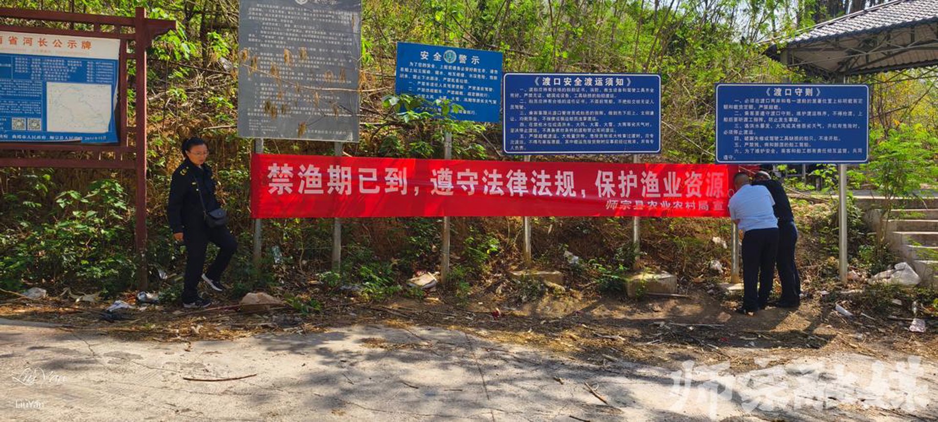 九州红苗木
